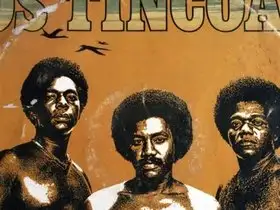 Os Tincoãs: música brasileira de volta à África